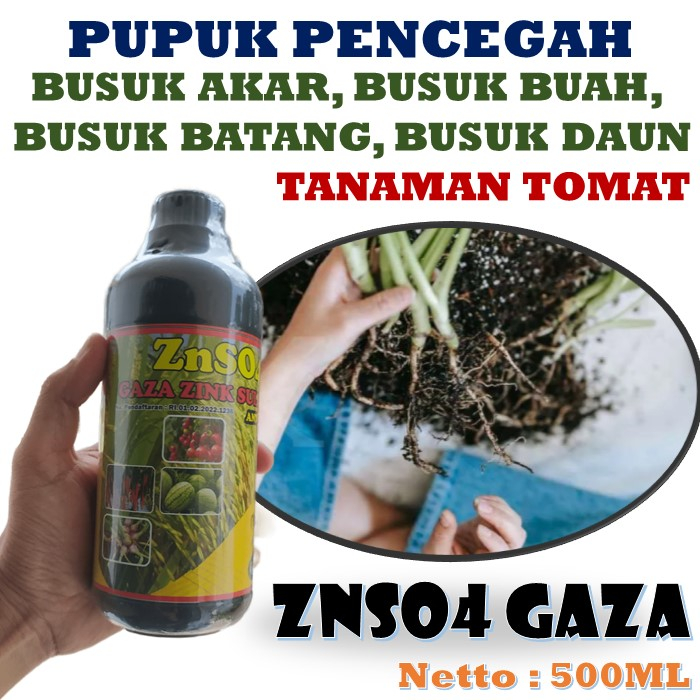 Jual Pupuk Anti Busuk Akar Tanaman Tomat Znso Gaza Isi Ml Pupuk