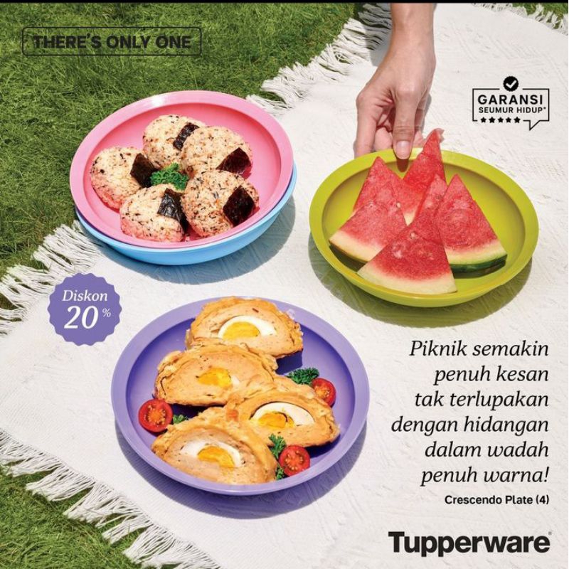 Jual Crescendo Plate Tupperware 4 Piring Tupperware Shopee Indonesia