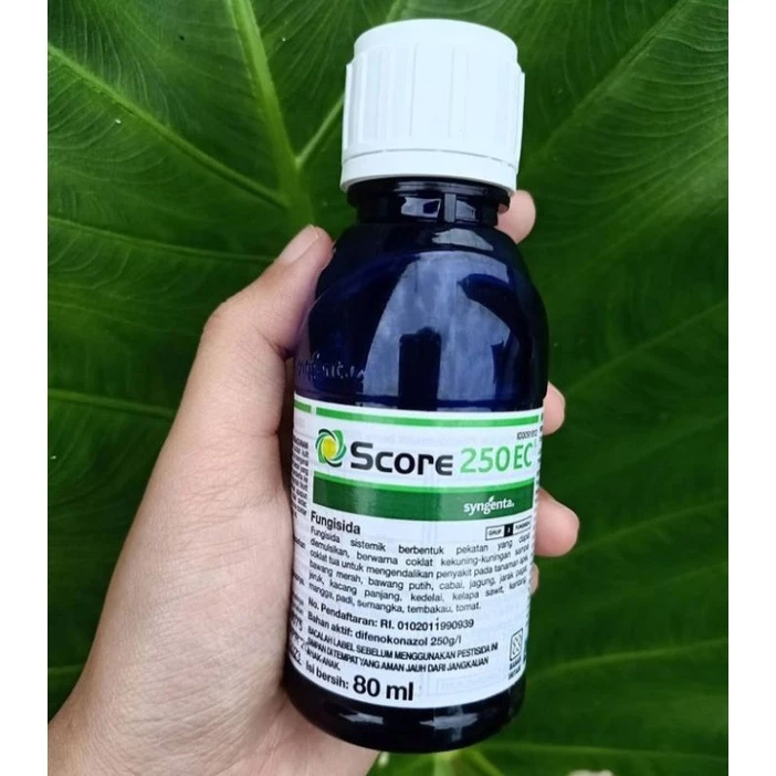 Jual Fungisida SCORE 250EC ZPT Kemasan 80ml Shopee Indonesia