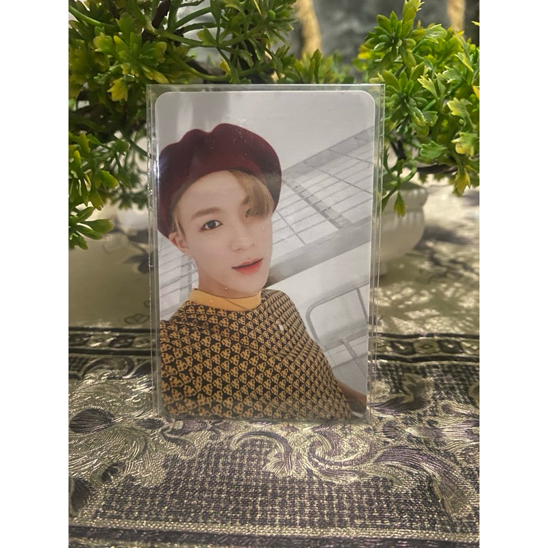 Jual Photocard Pc Official Jeno Wgu We Go Up Album Nct Dream Shopee