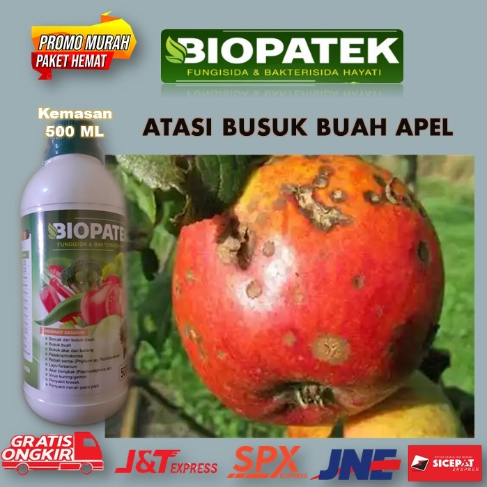 Jual Ml Biopatek Pupuk Anti Busuk Buah Apel Pupuk Fungisida Dan