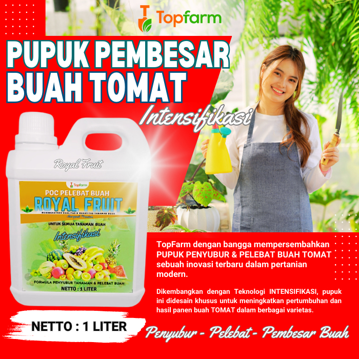 Jual Pupuk Buah Super Lebat Tomat Pupuk Tomat Agar Berbuah Lebat