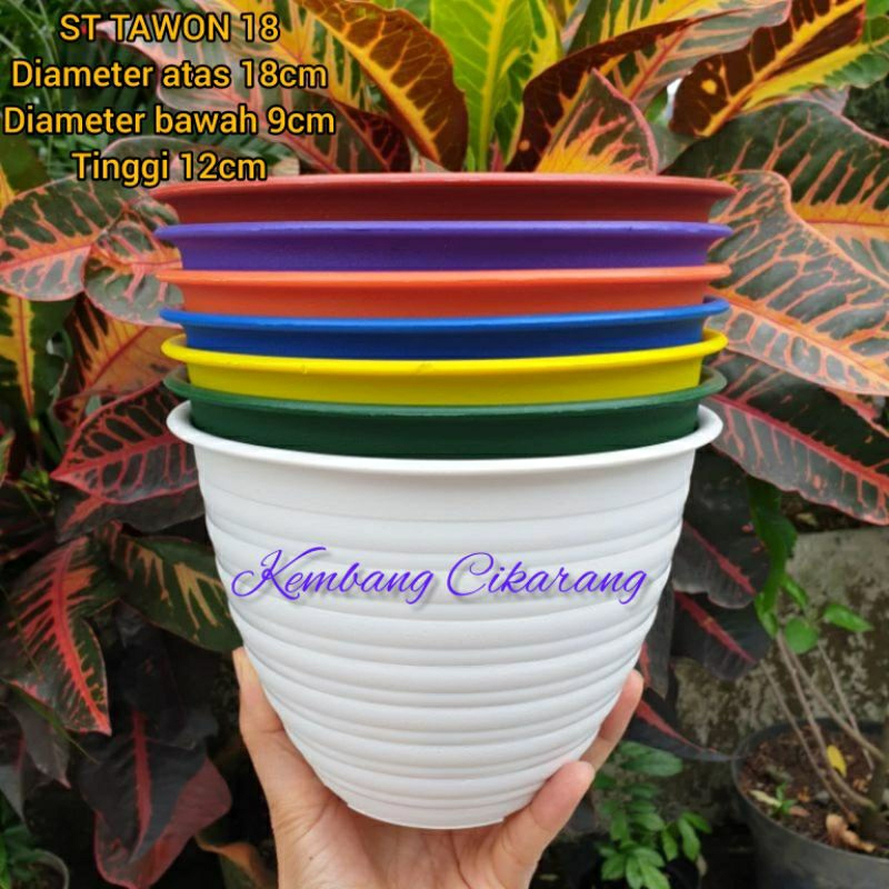 Jual 1pc ST TAWON 18 18cm Super Tawon Pot Bunga Plastik Model