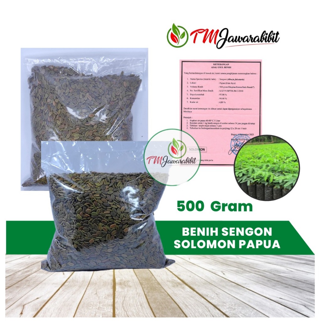 Jual BENIH SENGON SOLOMON PAPUA ISI 500 GRAM BERSERTIFIKAT ASAL USUL