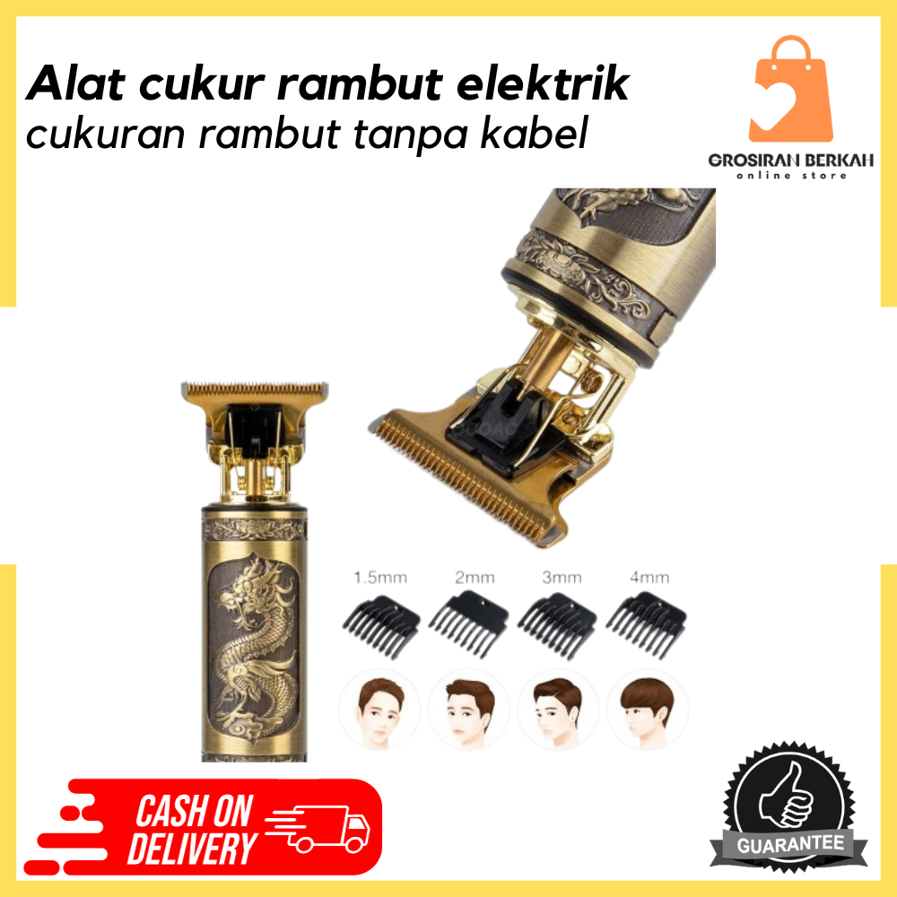 Jual Alat Cukur Rambut Kumis Jenggot Elektrik Dragon Profesional Hair