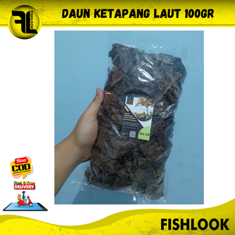 Jual Daun Ketapang Laut Olahan Untuk Ikan Hias Gram Ketapang Olahan