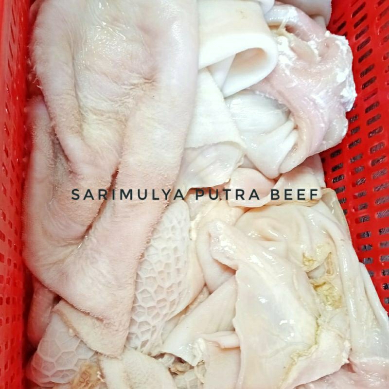 Jual Babat Sapi Bersih 1kg Babat Putih Babat Handuk Jarit Shopee