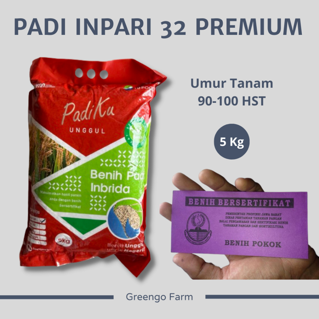 Jual Benih Padi Varietas Inpari Super Jumbo Kg Shopee Indonesia