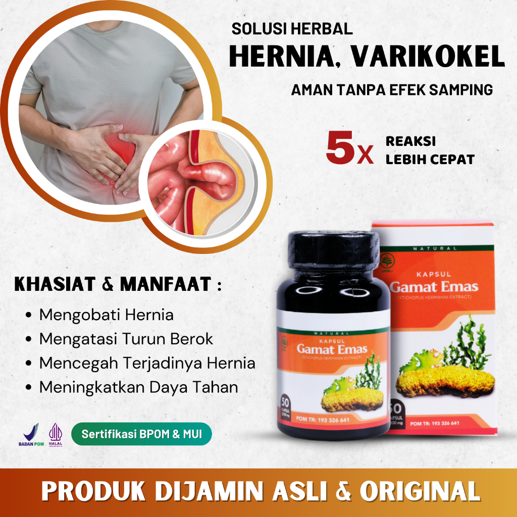 Jual Obat Hernia Turun Berok Pria Dewasa Alternatif Selain Operasi