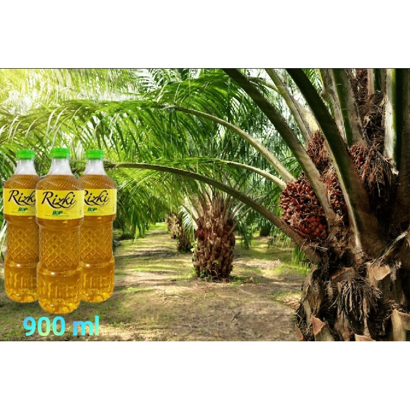 Jual Minyak Goreng Rizky BKP Kemasan Botol 900 Ml Shopee Indonesia