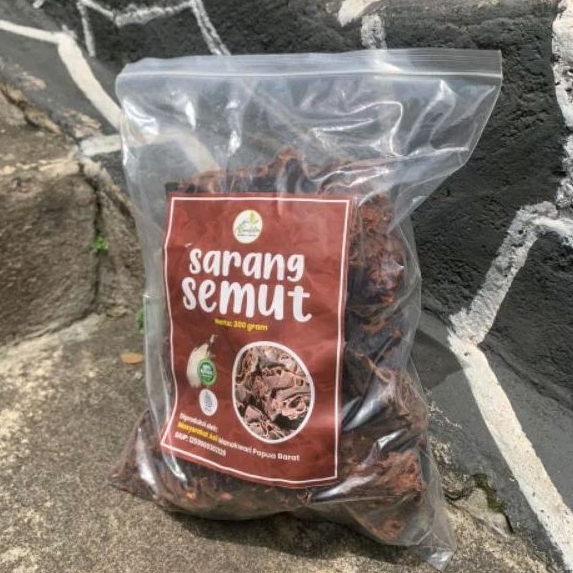 Jual Sarang Semut 100 Gram Asli Papua 100 Original Shopee Indonesia