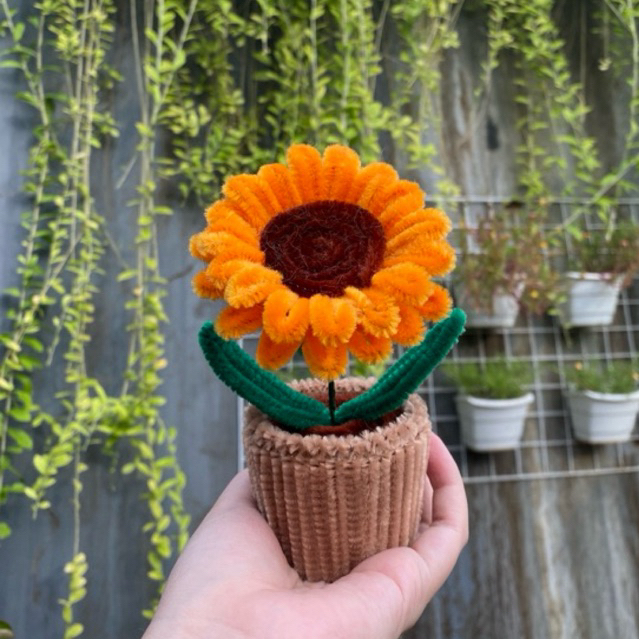 Jual Pot Bunga Matahari Dari Kawat Bulu Pipe Cleaner Sunflower Pot