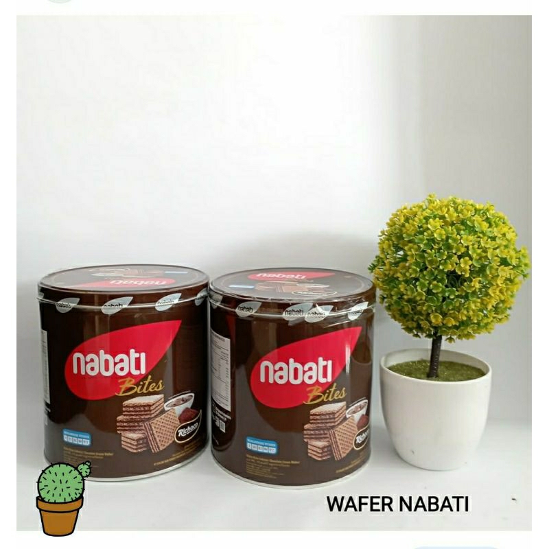 Jual Nabati Bites Wafer Coklat Kaleng G Richoco Shopee Indonesia