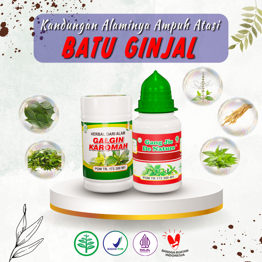 Jual Obat Herbal Penghancur Batu Ginjal Batu Empedu Kencing Batu