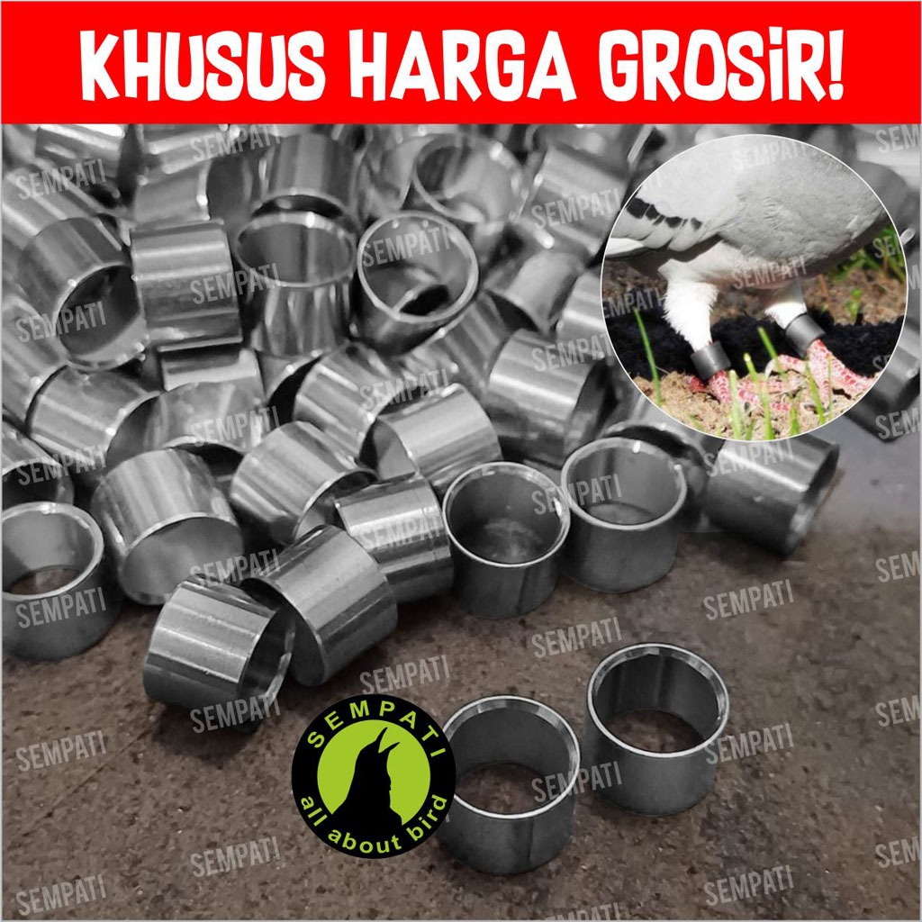 Jual GROSIR Ring Merpati Laser Stainless Steel Ring Kaki Burung Merpati