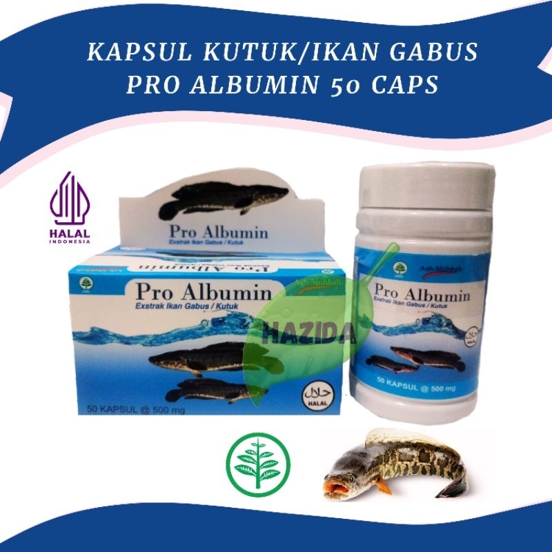 Jual Kapsul Kutuk Ikan Gabus Pro Albumin Asli Ekstrak Ikan Gabus