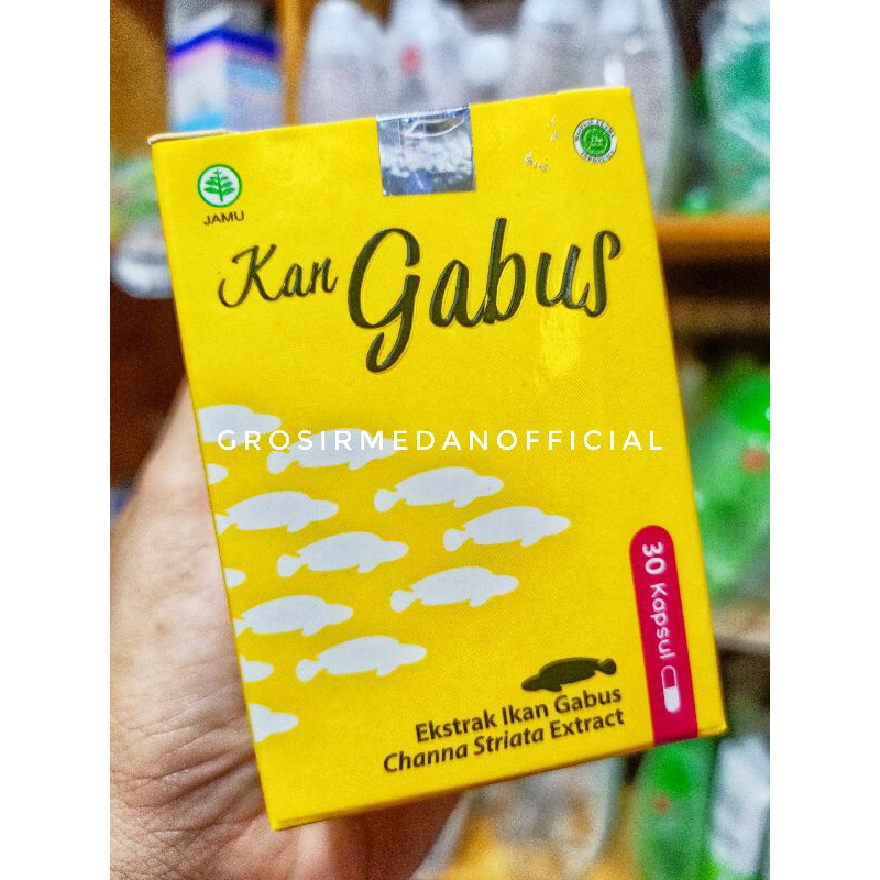 Jual KAN GABUS Isi 30 KAPSUL EKSTRAK CHANNA ALBUMIN IKAN GABUS