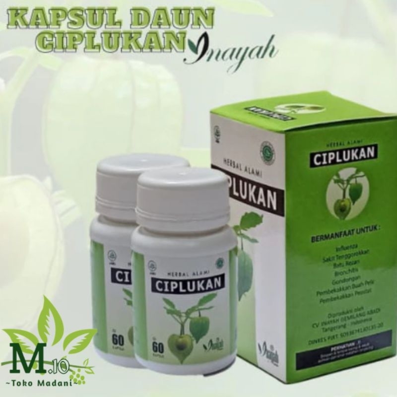 Jual KAPSUL CIPLUKAN 100HERBAL 100 ORIGINAL Shopee Indonesia