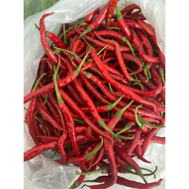 Jual Cabe Merah Kriting Kg Murah Meriah Shopee Indonesia