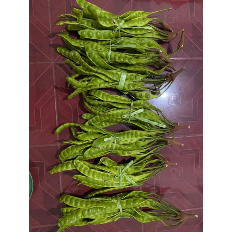 Jual PETE SEGAR PETAI SAYUR ISI 11 PAPAN LONJOR Shopee Indonesia