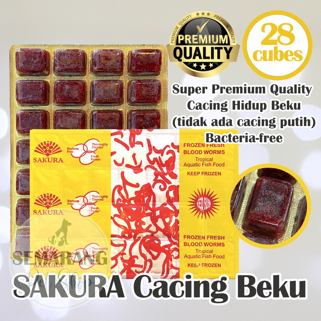 Jual Frozen Bloodworm Sakura Cacing Darah Beku Premium Gr Cabek