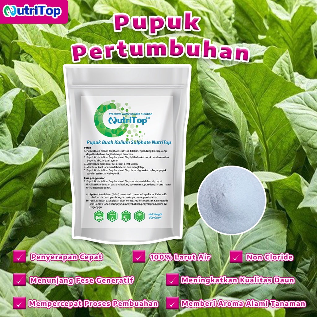 Jual Pupuk Pertumbuhan Buah Kalium Sulphate SOP Potassium Sulphate