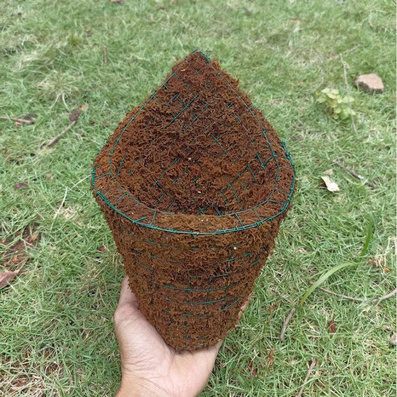 Jual Pot Tanaman Pot Bunga Anggrek Serabut Akar Kadaka Moss Hitam