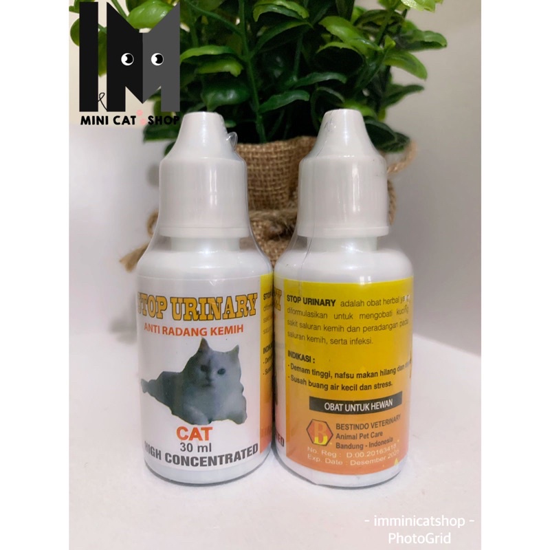 Jual Stop Urinary Ml Obat Anti Radang Kemih Pada Kucing Shopee