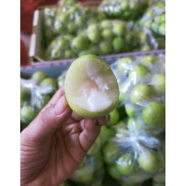 Jual Buah Bidara Arab 1 Kg Shopee Indonesia