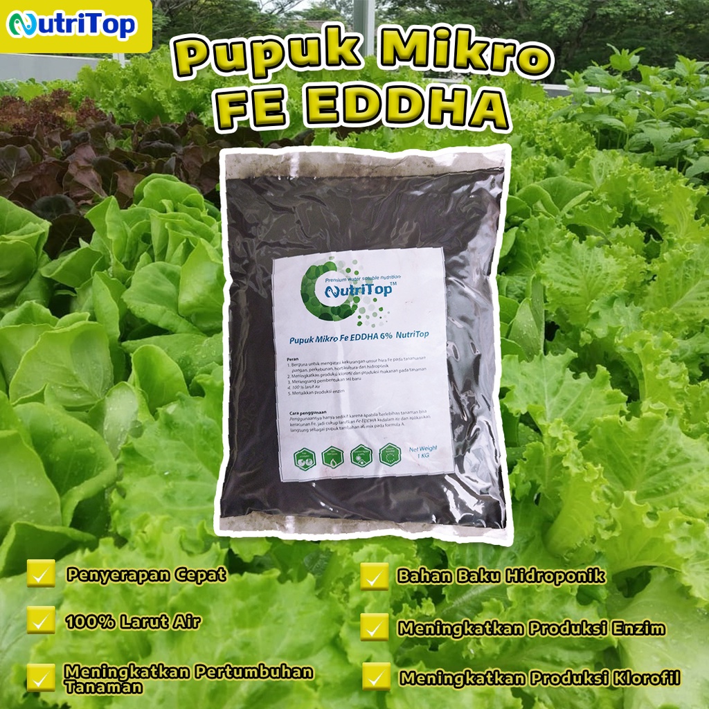 Jual Pupuk Mikro Fe EDDHA 6 NutriTop 1 Kg Shopee Indonesia