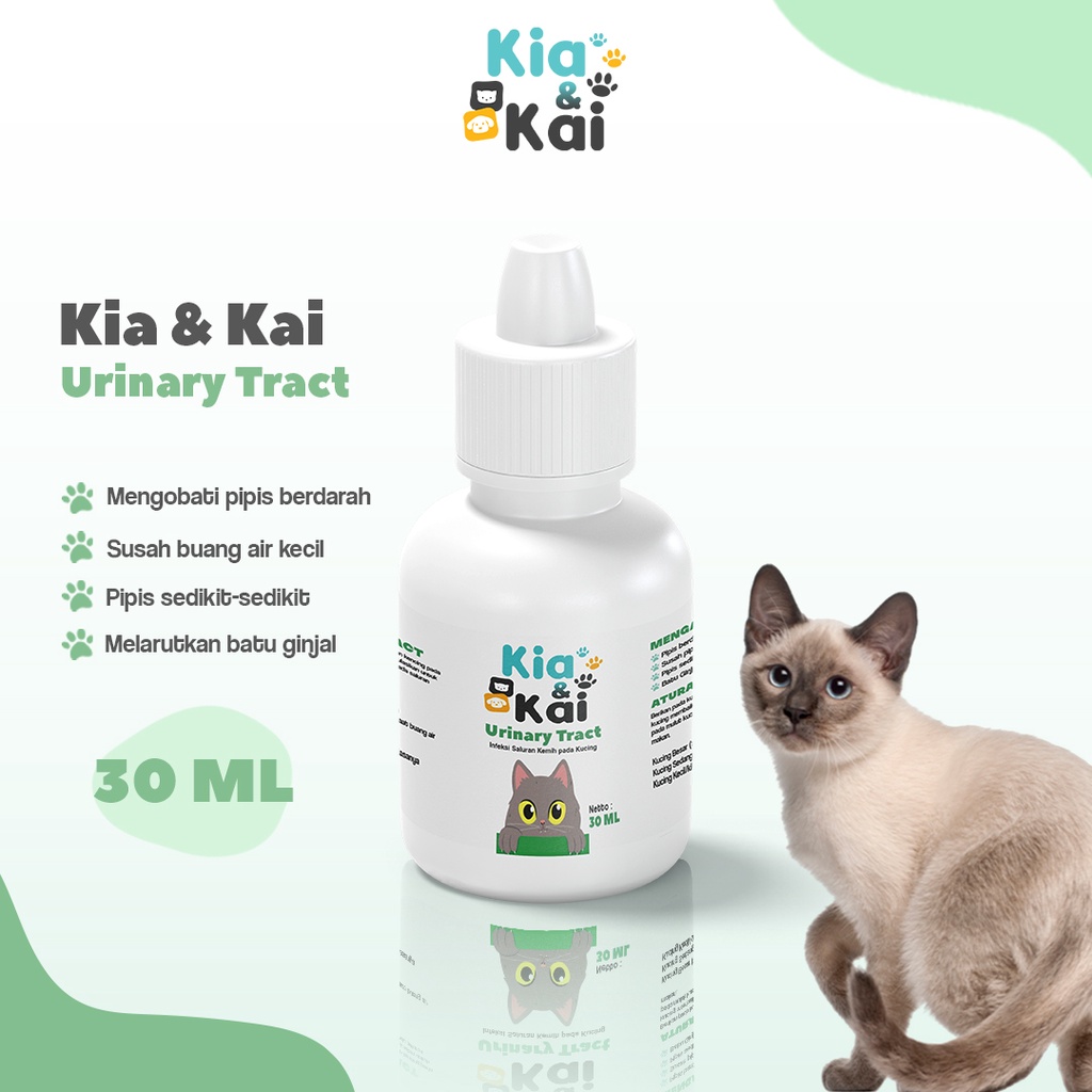 Jual Obat Infeksi Saluran Kencing Pada Kucing Flutd Kia Kai Ml