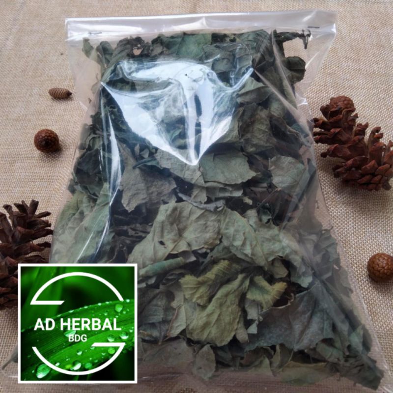 Jual Daun Keji Beling Kering Rempah Herbal Per 500 Gram Shopee Indonesia