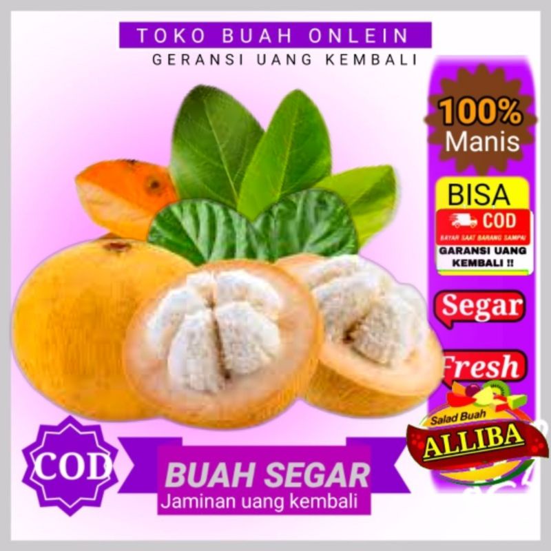 Jual Buah Kecapi Manis Kualitas Segar 1kg Shopee Indonesia