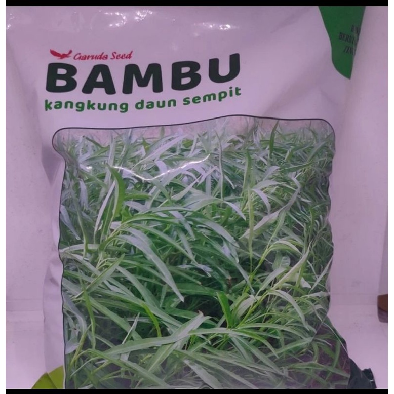 Jual Benih Kangkung Daun Sempit Bambu Kg Bibit Kangkung Daun Sempit