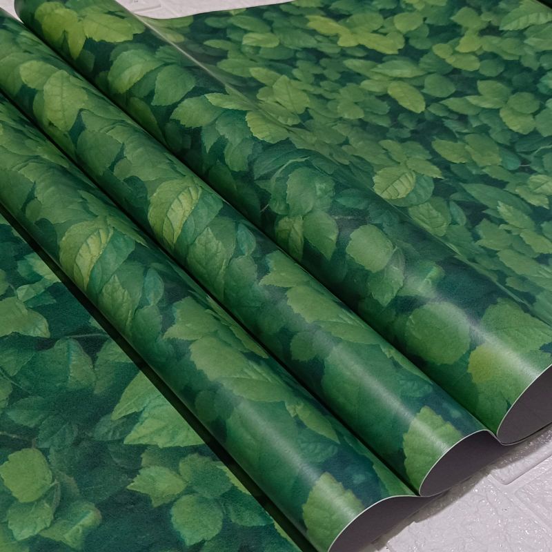 Jual Wallpaper Dinding Sticker Dinding Daun Hijau Kekinian Dekorasi