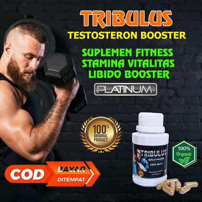 Jual Tribulus Hormon Testosteron Kapsul Herbal Pembentuk Otot Suplemen