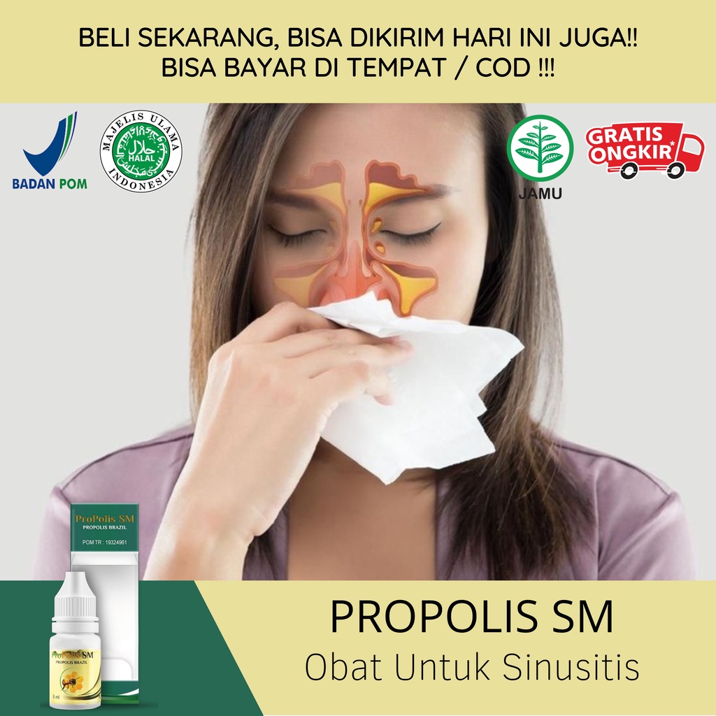 Jual Obat Sinusitis Herbal Obat Untuk Sinusitis Hidung Tersumbat