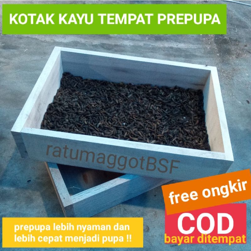 Jual Kotak Kayu Tempat Prepupa Maggot Bsf Shopee Indonesia