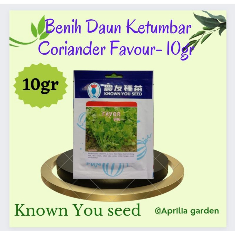 Jual Benih Daun Ketumbar Coriander Favour Gr Original Known You Seed