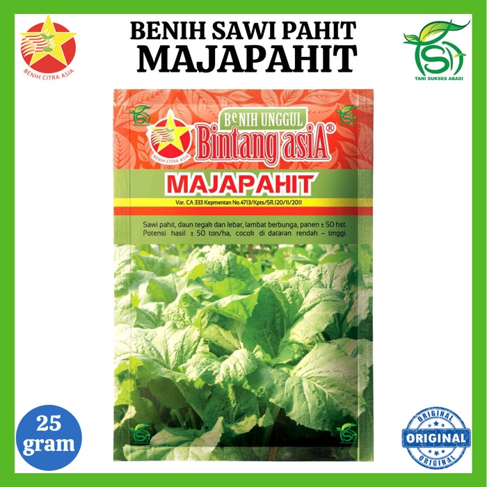 Jual Benih Sawi Majapahit Gram Bibit Sawi Pahit Bintang Asia Gr