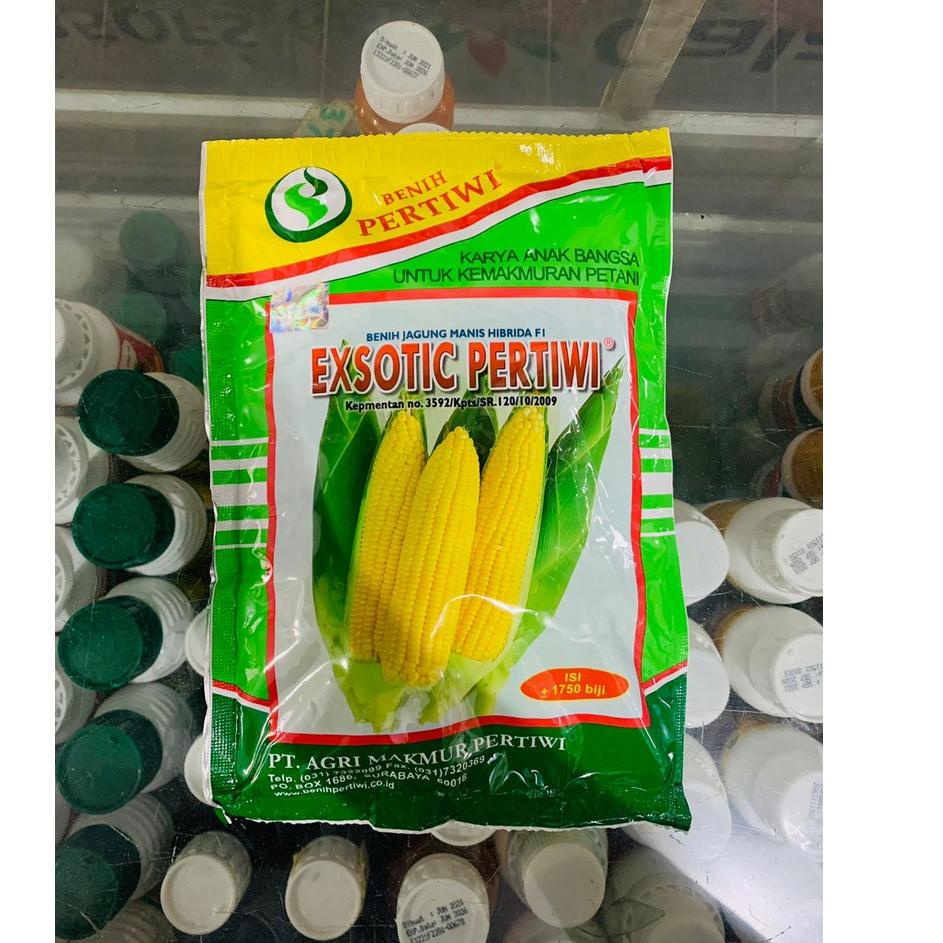 Jual Best Benih Jagung Manis Exsotic Pertiwi Isi Butir Randemen