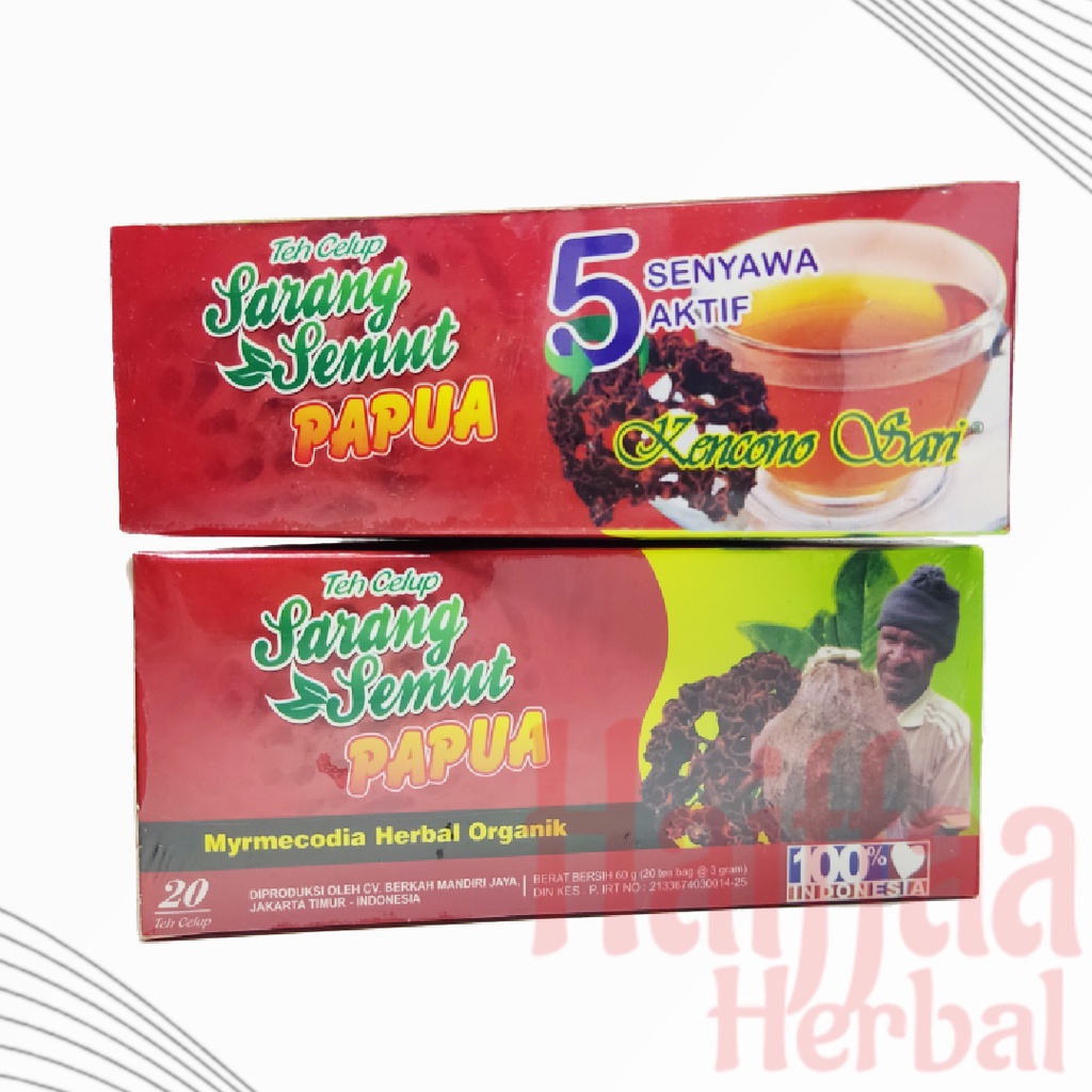 Jual Teh Celup Sarang Semut Papua Kencono Sari Teh Herbal Asam Urat