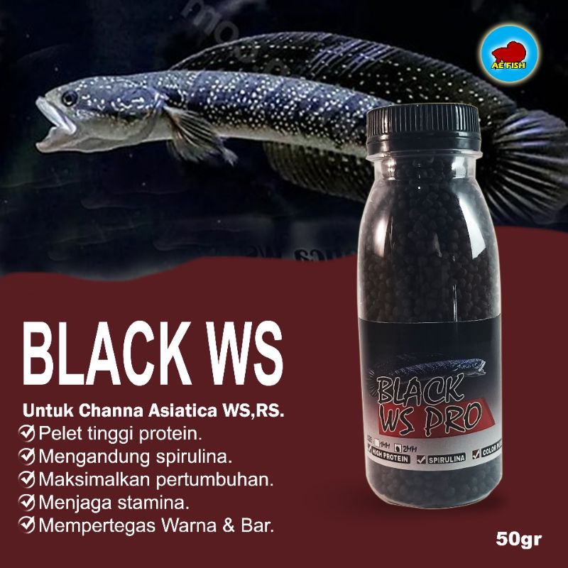 Jual Pelet Black Ws Pro Pakan Ikan Channa Asiatica Ws Pelet Chana