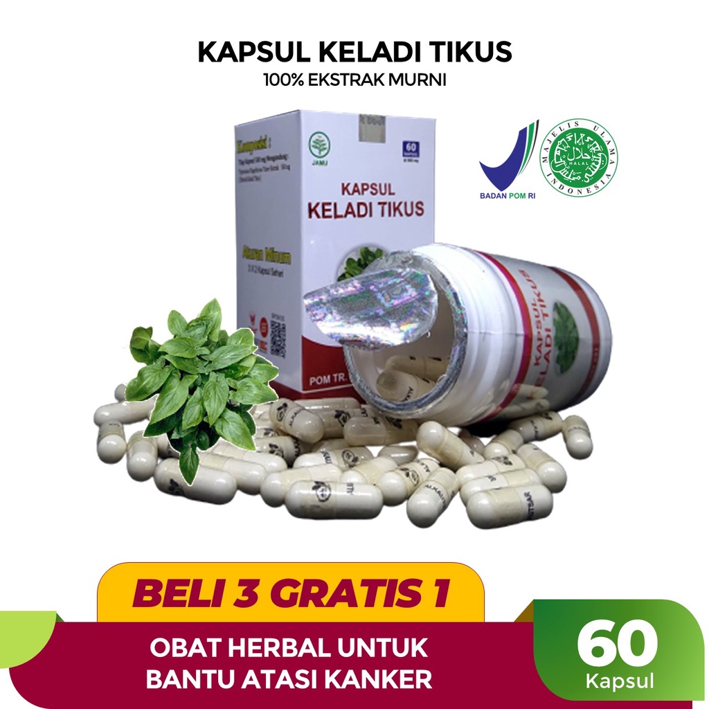 Jual Kapsul Keladi Tikus Ekstrak Asli Standar Bpom Dan Halal Mui