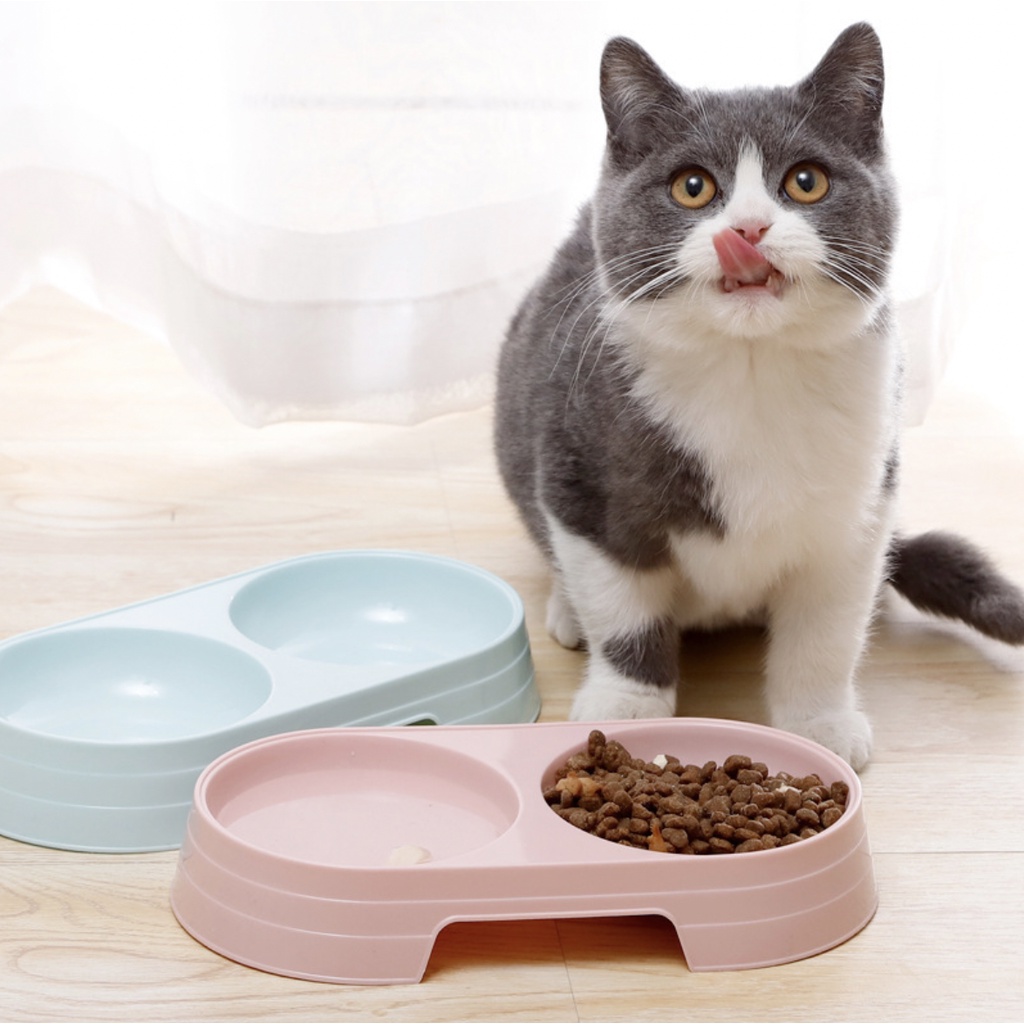 Jual Tempat Makan Double Bowl Kucing Anjing Anti Semut Mangkok Makanan