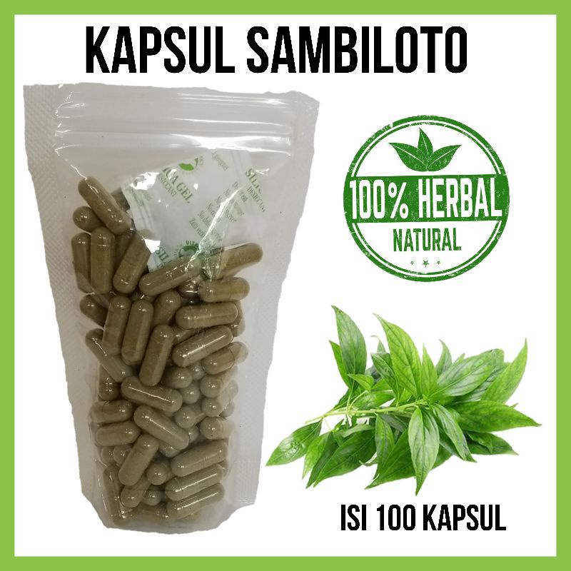 Jual Kapsul Sambiloto Isi Asli Alami Berkhasiat Organic Shopee