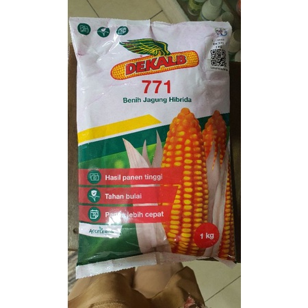 Jual Benih Jagung Hibrida Dekalb Kemasan Kg Shopee Indonesia