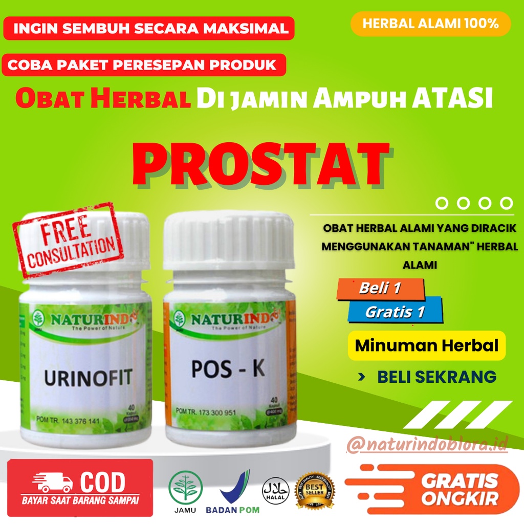 Jual Obat Batu Ginjal Infeksi Saluran Kemih Prostat Anyang Anyangan