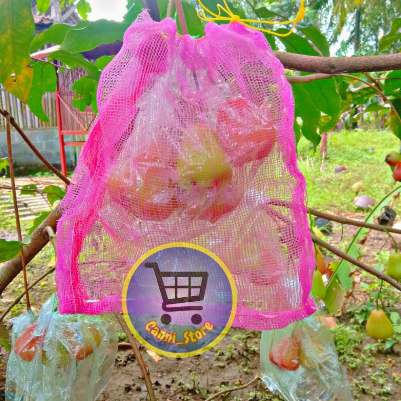 Jual Fruit Cover Brongsong Pembungkus Buah Mangga Jambu Anggur Shopee