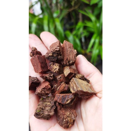 Jual Media Tanam Anggrek Kulit Pinus Cacah Pine Bark Ukuran Cacah Siap